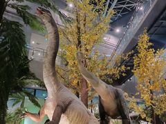 -湖南省地质博物馆