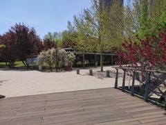 -大望京公园