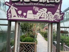 -南宫五洲植物乐园