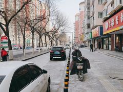 -全心全意连锁动物医院·微创中心·内科急重症·心脏专科(丰管路店)