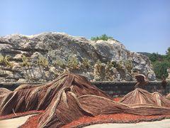 -北京西山国家森林公园