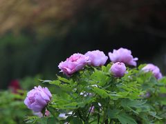 -江南大学(蠡湖校区)