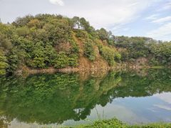 -王借岗森林公园