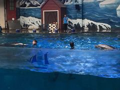 -华夏文旅海洋公园