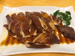 豉油鸡-粤·向群饭店(泮塘路店)