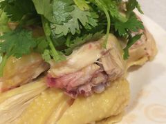 -振鼎鸡(丰庄路店)