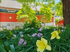 -宣南文化博物馆