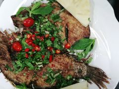 -老滇山寨•云南特色菜•地方菜•民族风情歌舞表演(金碧店)