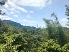 -阳台山森林公园