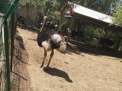 -第五季龙水凤港生态露营农场