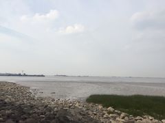 -吴淞炮台湾湿地森林公园烧烤区