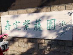 -嘉定紫藤园
