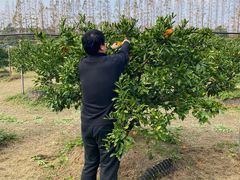 -上海长兴岛郊野公园