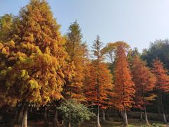 -南京市无想山景区