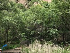 -碓臼峪自然风景区