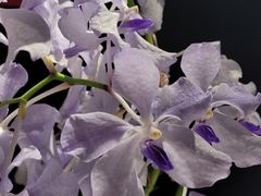 -北京植物园-展览温室