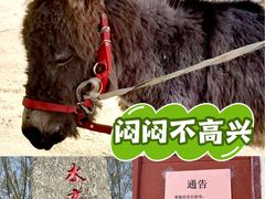 -水高庄园售票处