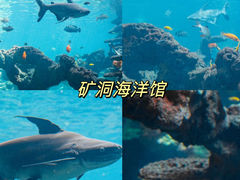 -长鹿旅游休博园