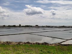 -白渔泡湿地公园