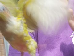-正佳雨林生态植物园
