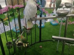 -万达广场(盐城盐都店)