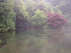 iphone_upload_pic-九溪烟树