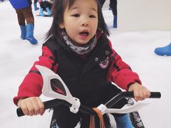 -Mr·Kuma酷么先生雪之乐园
