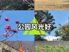 -燕晗山郊野公园
