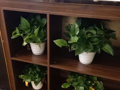 -晴川足道·商务水疗SPA(东郊记忆店)