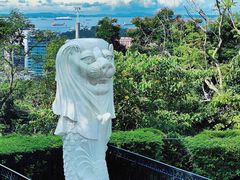 -花柏山公园