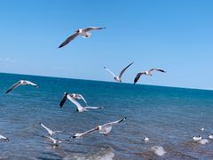 -青海湖国家重点风景名胜区