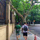 《上海-乌镇-杭州》