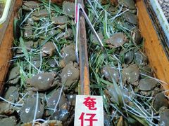 -大湾区中央湿地公园-十九涌