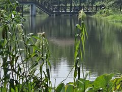 -同里国家湿地公园