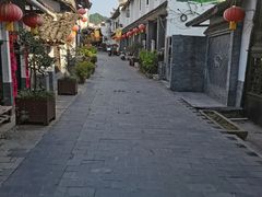 -后柳水乡