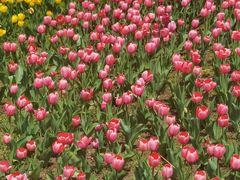 -长春公园(普阳街道)