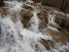 -九寨沟-树正沟