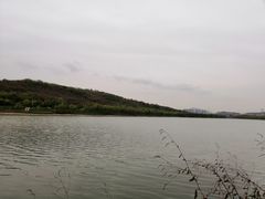 -羊山湖公园