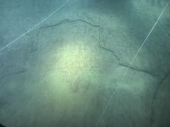 -白鹤梁水下博物馆