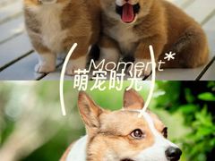 -西湖文化广场