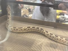 -万达广场(南京江宁店)