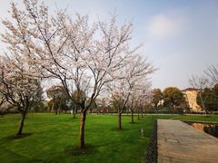 -中共上海市委党校 上海行政学院