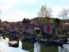 -香雪海