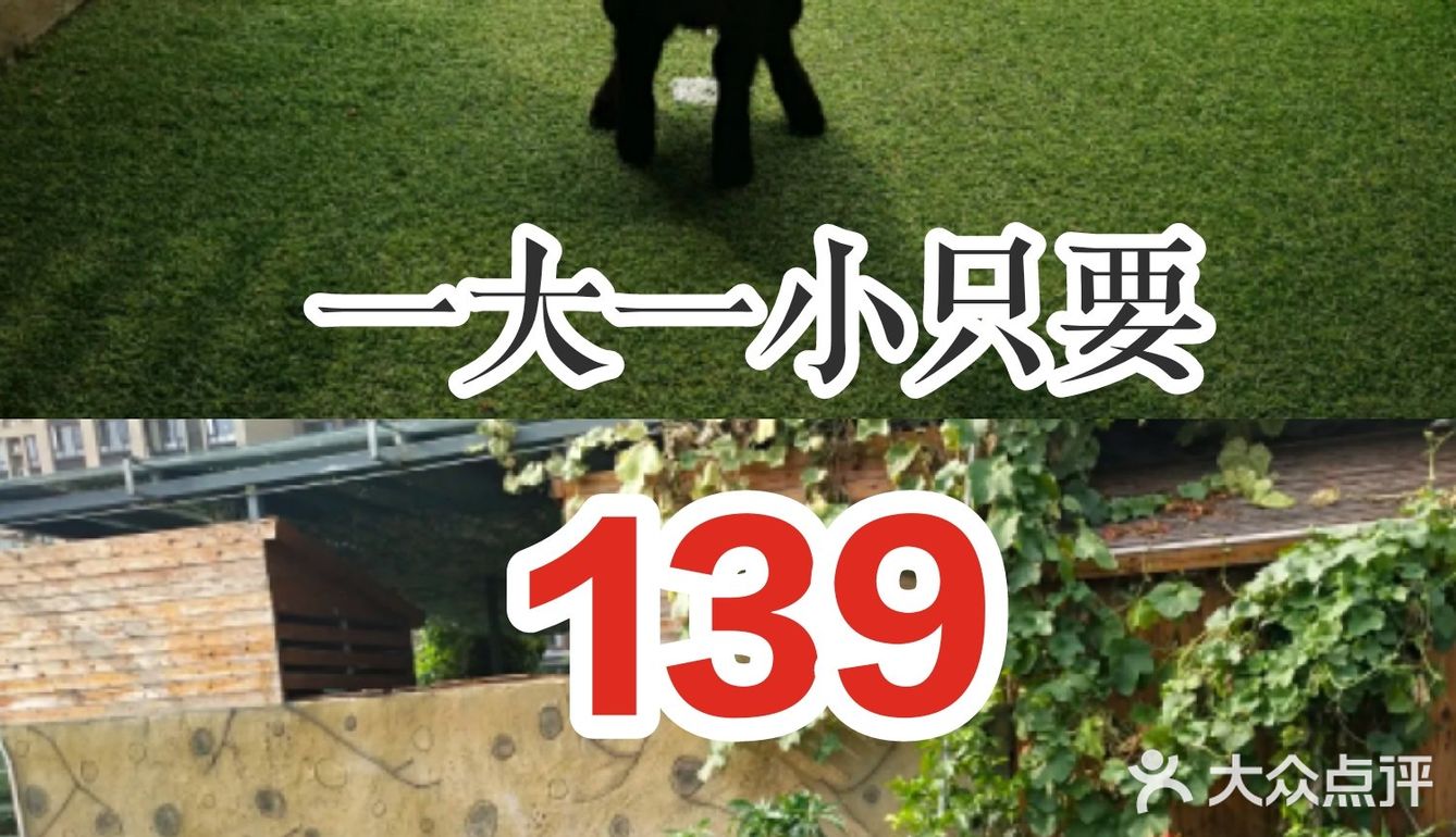 139玩遍全场一整天