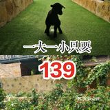 139玩遍全场一整天