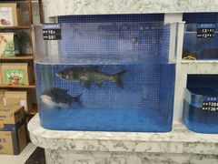 水产区-香山湖渔家大院