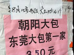 -朝阳东莞大包第一家