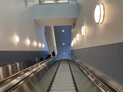 -约翰·菲茨杰拉德·肯尼迪国际机场