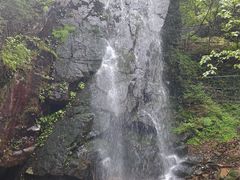 -本溪汤沟绿石谷森林公园