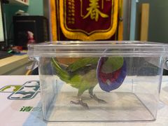 -雨林宠物医院 非犬猫异宠专科